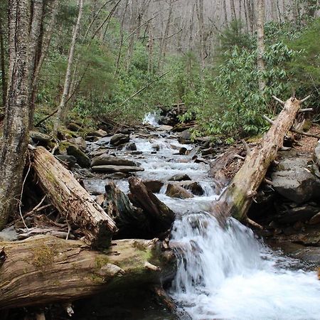 Gorgeous Large Mountain View Cabin W Hot Tub, Free Wifi, Games Villa Sevierville Bagian luar foto