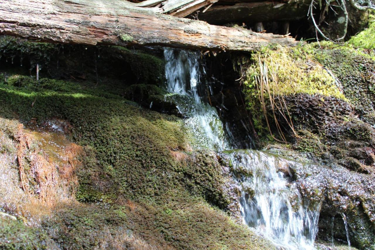 Gorgeous Large Mountain View Cabin W Hot Tub, Free Wifi, Games Villa Sevierville Bagian luar foto
